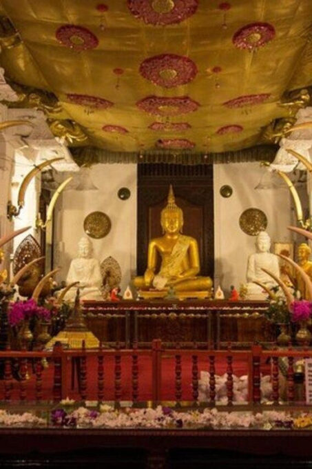 Kandy Full Day Tour From Colombo (Private Day Tour) - Royal Botanical Garden