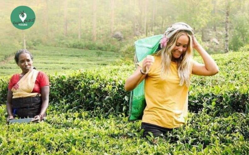 Kandy: Nuwara Eliya Day Explore by Tuk tuk with Local Guide - Key Points