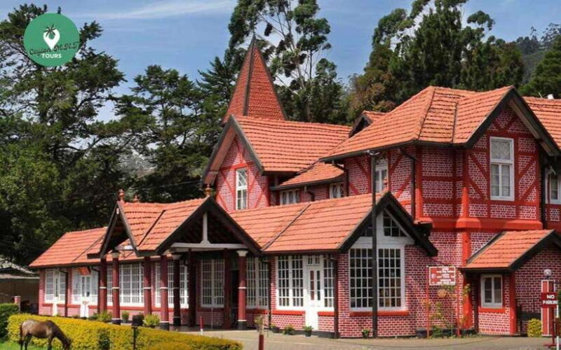 Kandy: Nuwara Eliya Day Explore by Tuk tuk with Local Guide - The Route and What to Expect