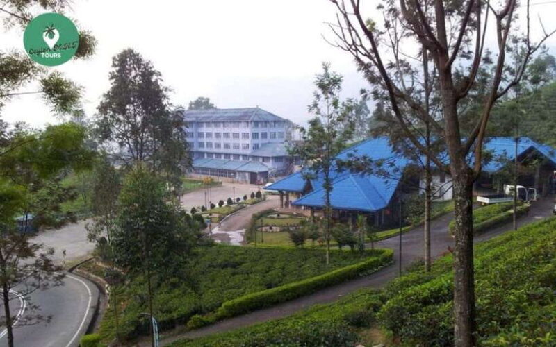 Kandy: Nuwara Eliya Day Explore by Tuk tuk with Local Guide - Authentic Insights from Travelers