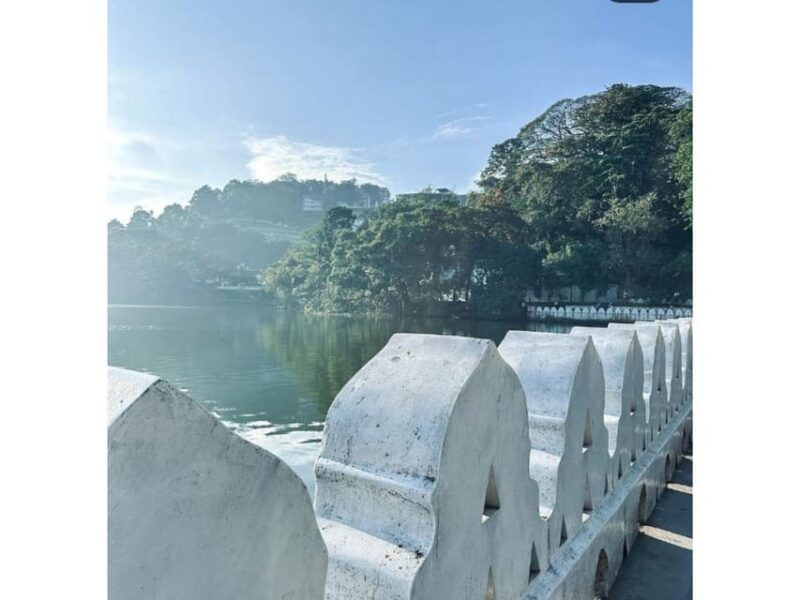 Kandy: Pinnawala Day Tour By Local Budget Taxi (Local Guide) - Tour Highlights and Activities
