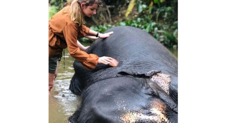 Kandy: Pinnawala Day Tour By Local Budget Taxi (Local Guide) - Inclusions and Exclusions