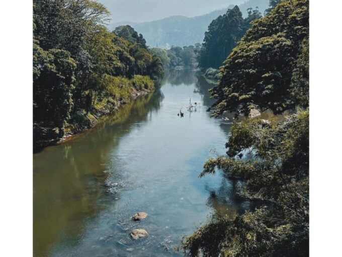 Kandy: Pinnawala Day Tour By Local Budget Taxi (Local Guide) - Frequently Asked Questions
