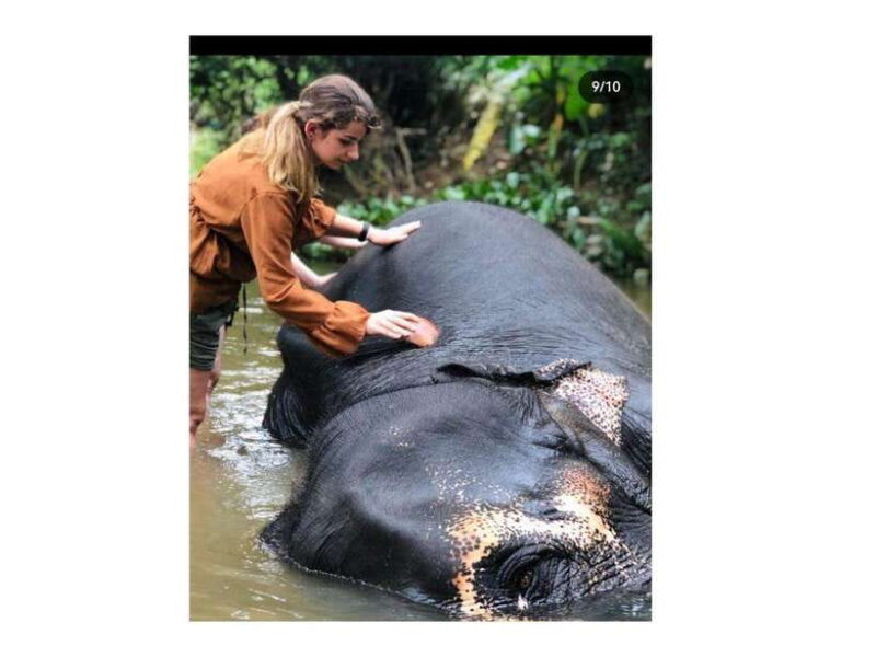 Kandy: Pinnawala Day Tour By Local car (Local Guide) - Key Points