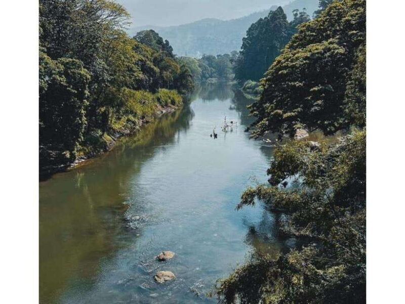 Kandy: Pinnawala Day Tour By Local car (Local Guide) - Cultural Highlights: Temples, Dances, and Spirituality