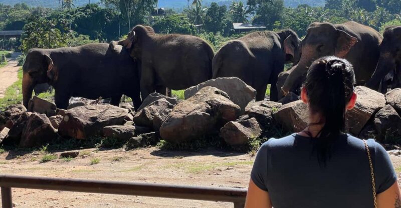 Kandy Pinnawala Day Tour From Bentota - Good To Know