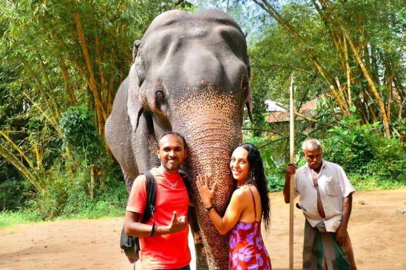 Kandy : Pinnawala Day Tour with Top Rated Local Guide - An In-Depth Look at the Tour
