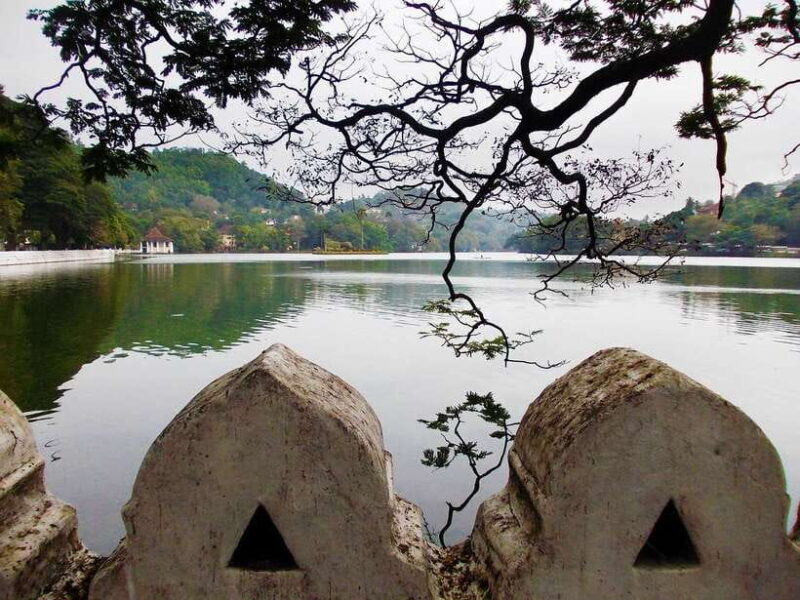 Kandy, Pinnawala Private Day Trip From The West Coast Beach - Who Will Love This Tour?