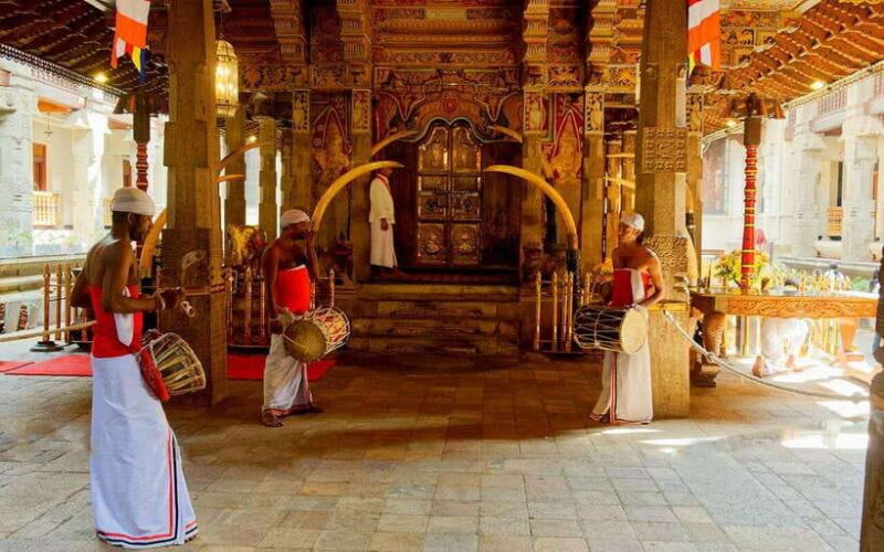 Kandy, Pinnawala & Tea Factory Full Day Tour From Colombo - Key Points