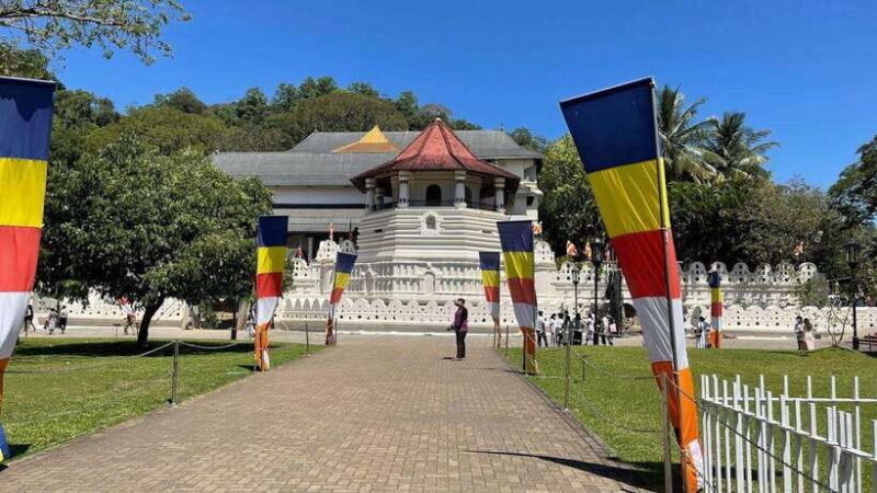 Kandy, Pinnawala & Tea Factory Full Day Tour From Colombo - An In-Depth Look at the Tour Experience