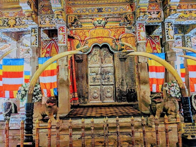 Kandy, Pinnawala & Tea Factory Full Day Tour From Colombo - The Value of This Tour