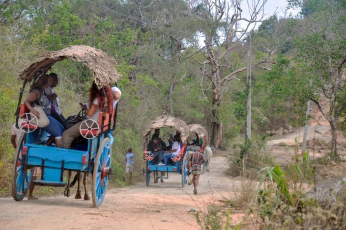 Kandy: Polonnaruwa Ancient Kingdom and Minneriya Safari - Included Amenities and Services