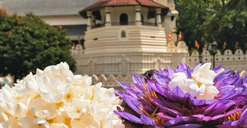 Kandy: Sightseeing Tour by Tuk Tuk Morning or Evening - Bahirawakanda Temple