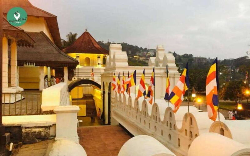 Kandy: Sightseeing WalkingTour Arround Kandy with LocalGuide - Who is This Tour Best For?