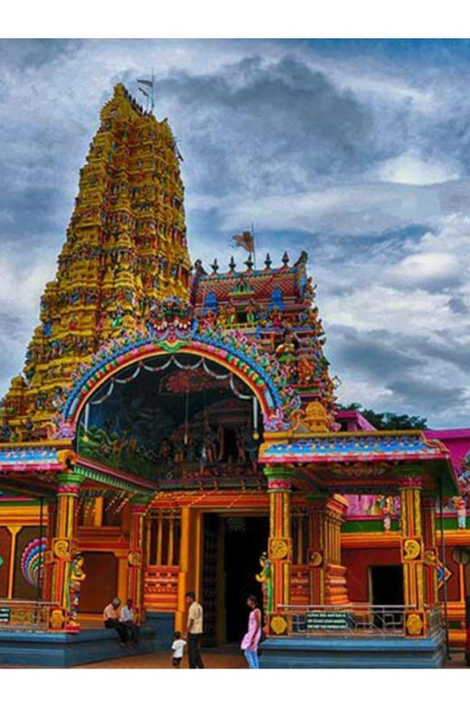 Kandy : Sigiriya - Dambulla Day Trip - Trip Overview and Pricing
