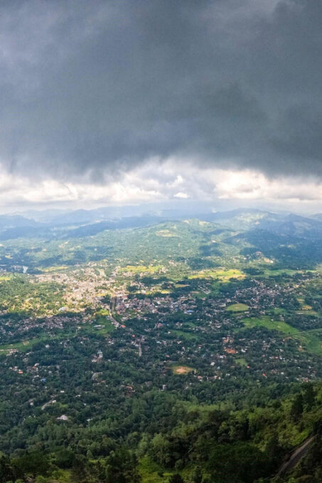Kandy: to Ambuluwawa Tower and Tea Exploration by Tuk Tuk - Exploring Kandys Royal Botanic Gardens