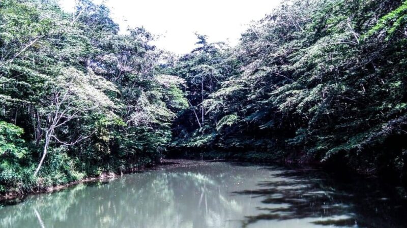 Kandy to Kitulgala: Thrilling Rafting Day Tour With Indika - Participant Restrictions and Safety