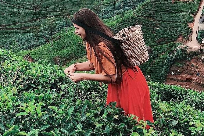 Kandy to Nuwara Eliya Day Tour - Excluded Offerings