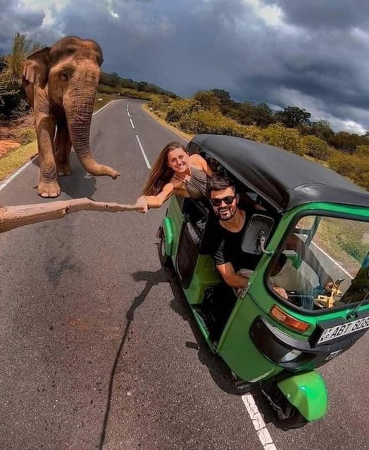 Kandy to Nuwaraeliya Day Tour By Tuk Tuk - Good To Know