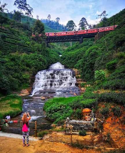 Kandy to Nuwaraeliya Day Tour By Tuk Tuk - Ceylon Tea Factory