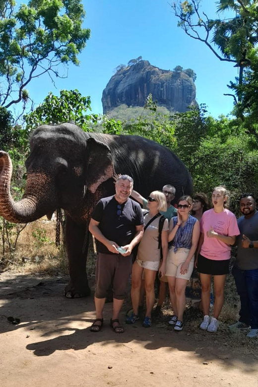 Kandy to Sigiriya Daytours - Transportation and Convenience