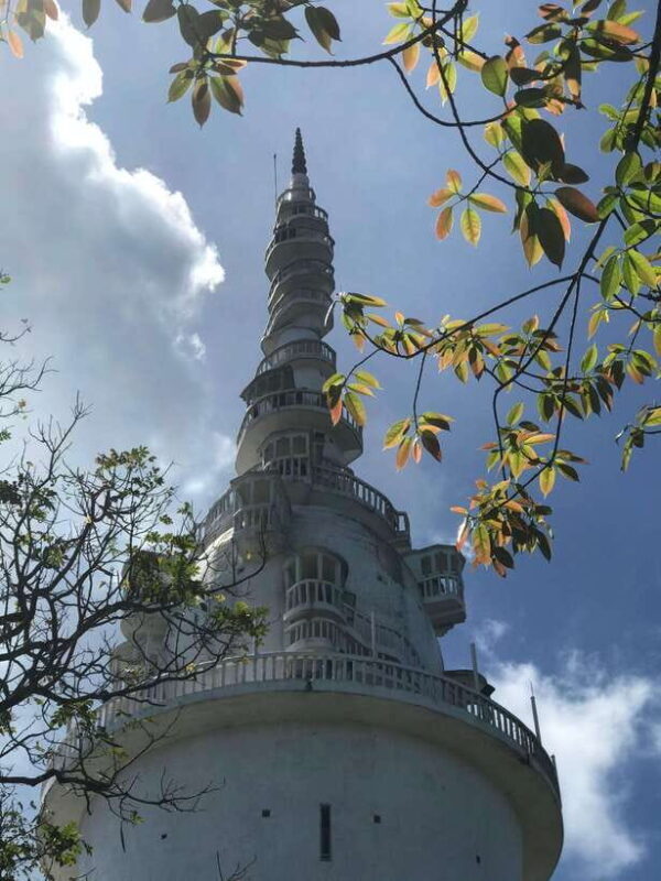 Kandy: Tuk Tuk Tour with Ambuluwawa Tower & Pinnawala - Who is This Tour Best For?
