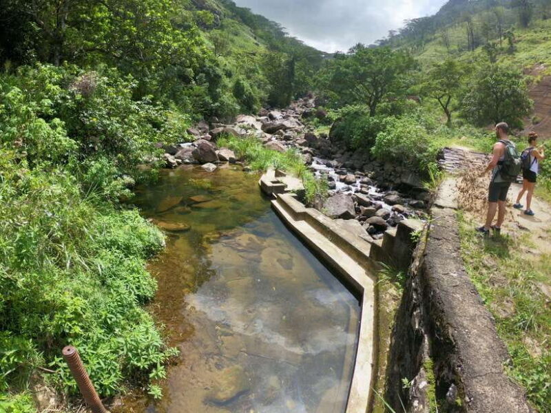 Kandy: Waterfalls and Local Village Day Tour with Lunch - Key Points