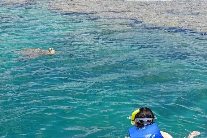 Kaneohe Bay Kayak Rental (Two-Person Kayak) - Physical Requirements and Accessibility