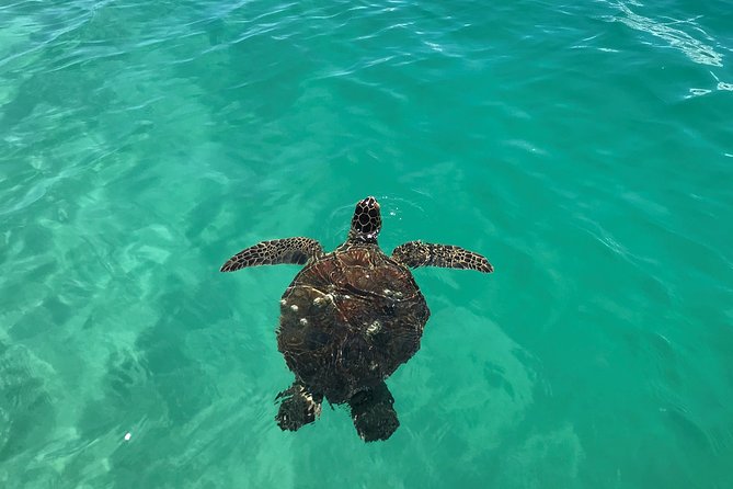 Kaneohe Bay Kayak Rental (Two-Person Kayak) - Unique Attractions at Kaneohe Bay