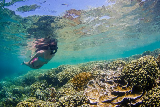Kaneohe Bay Kayak Rental (Two-Person Kayak) - Booking and Refund Information