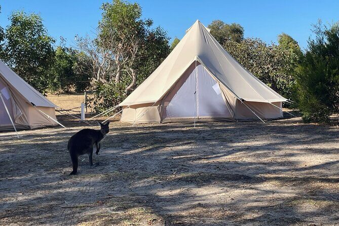 Kangaroo Island 2-Day Wildlife Adventure Small Group tour - Who Should Consider This Tour?