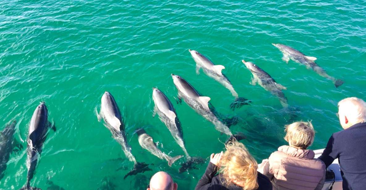Kangaroo Island: 75-Minute Coastal Safari - Highlights