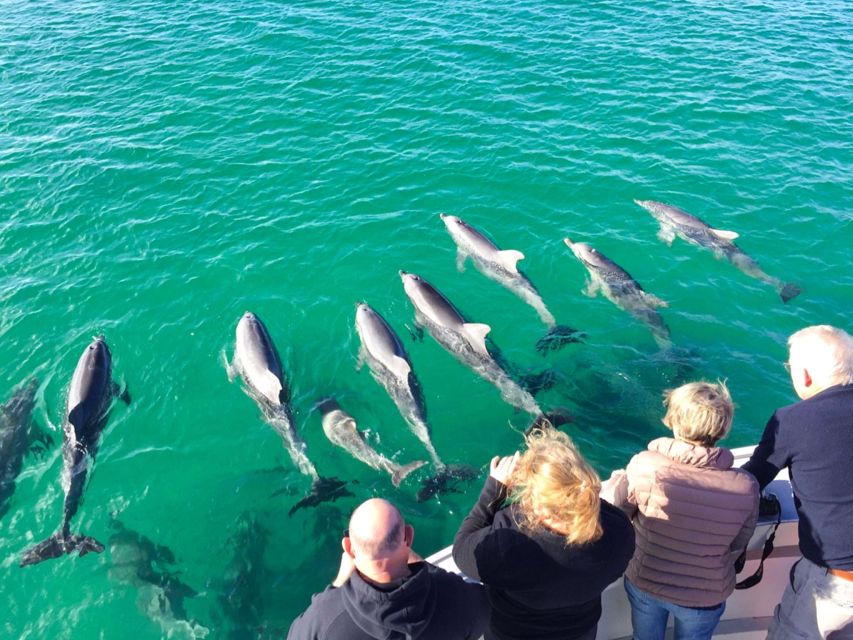 Kangaroo Island: 75-Minute Coastal Safari - Includes