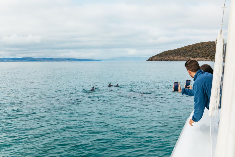 Kangaroo Island: 75-Minute Coastal Safari - Customer Reviews