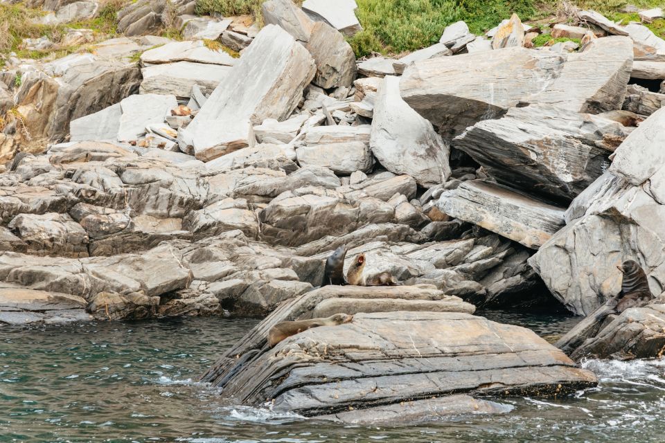 Kangaroo Island: 75-Minute Coastal Safari - Directions