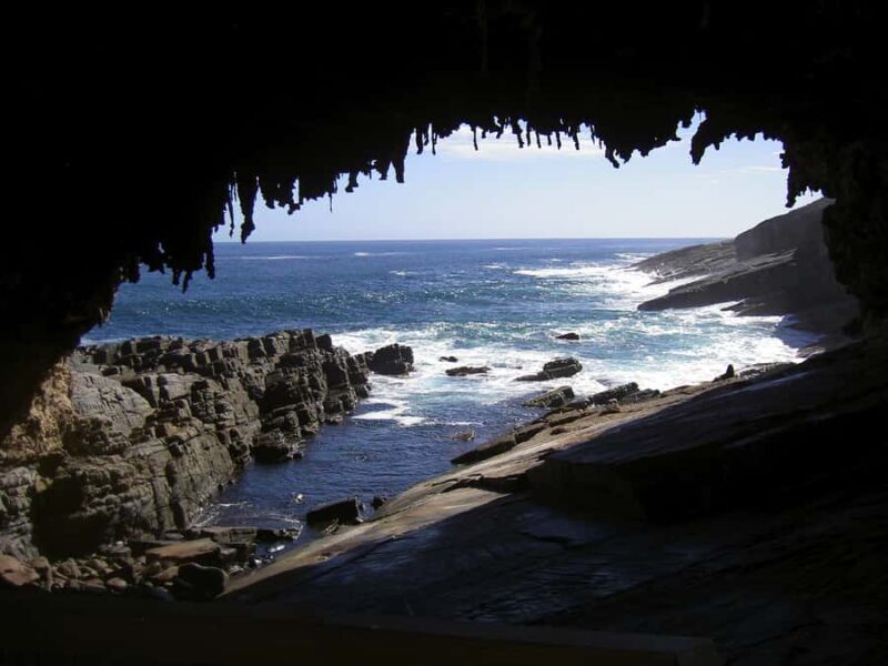 Kangaroo Island: Full Day Guided Flinders Chase Focus Tour - Authentic Experiences Backed by Reviews