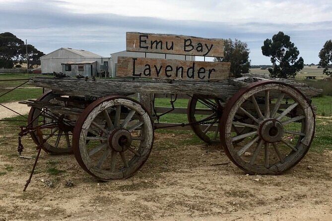 Kangaroo Island Half Day Tasting Tour - Key Points