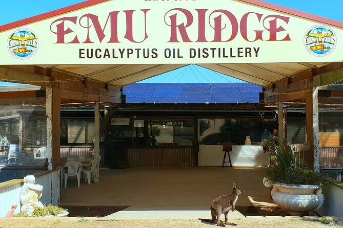 Kangaroo Island Half-Day Tour - The Sum Up