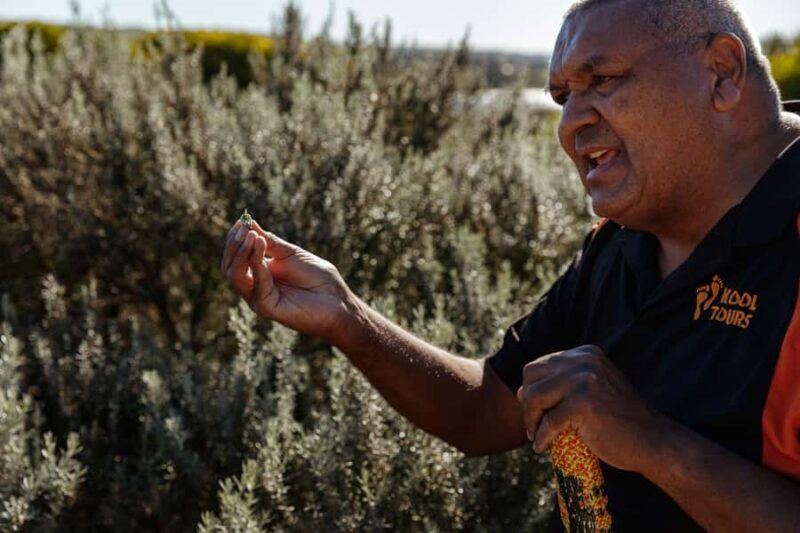 Kangaroo Island: Indigenous Day Tour - Key Points  