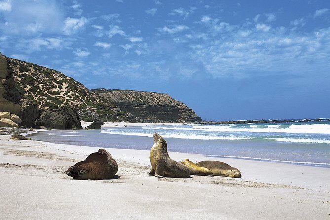 Kangaroo Island Shore Excursion Scenic Trail Tour - A Closer Look at the Itinerary