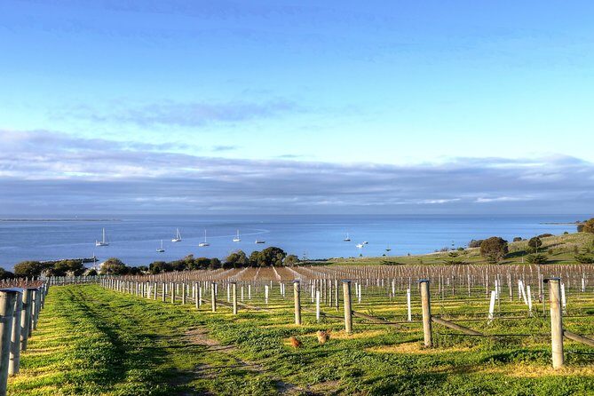 Kangaroo Island Shore Excursion Tasting Tour - For Cruise Ship Passengers Only - What’s Included and What’s Not