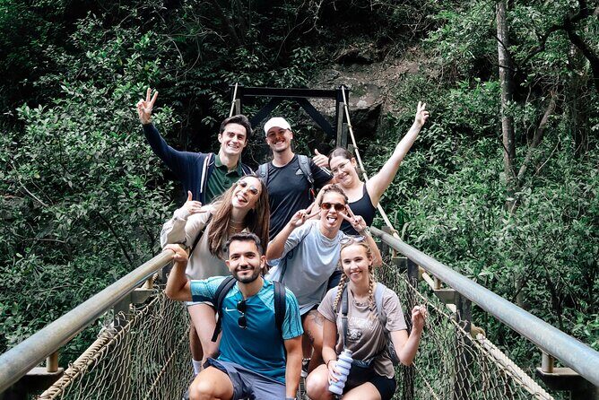 Kangaroos, 6 Springbrook Waterfalls and Natural Bridge Day Tour - A Comprehensive Review of the Kangaroos, 6 Springbrook Waterfalls and Natural Bridge Day Tour