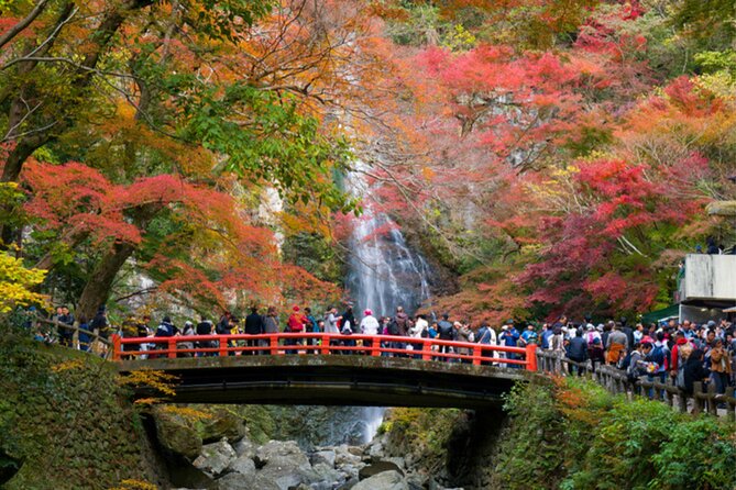 Kansai Region Hiking Adventure in Nara Kobe Kyoto and More - Nara: Exploring the Deer Park and Historic Temples