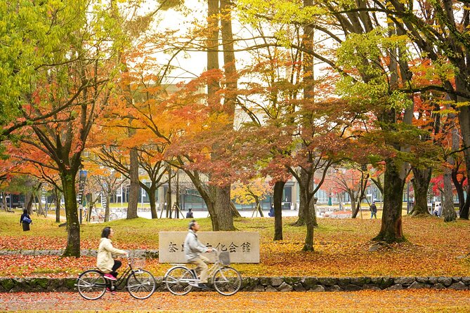Kansai Region Hiking Adventure in Nara Kobe Kyoto and More - Kyoto: Discovering the Bamboo Forest and Kinkakuji Temple