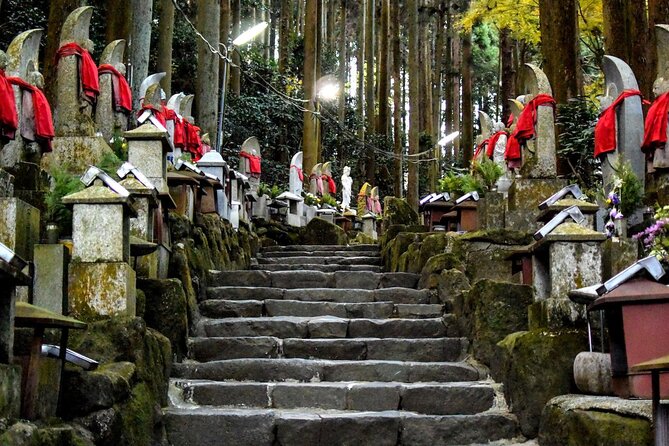 Kansai Region Hiking Adventure in Nara Kobe Kyoto and More - Health and Accessibility Considerations