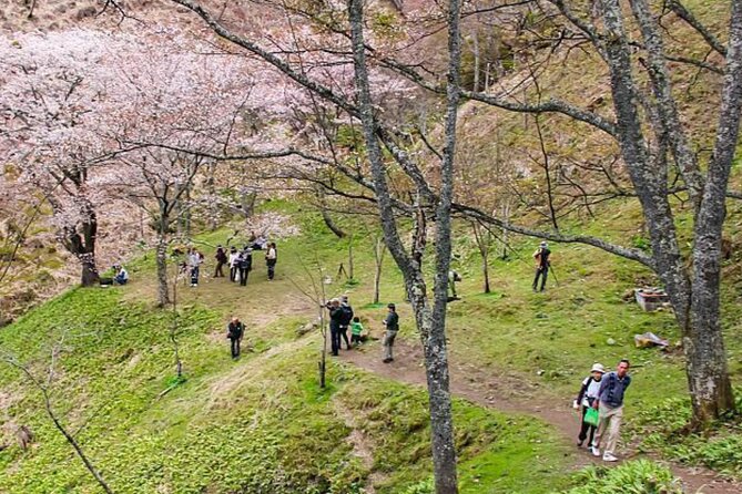 Kansai Region Hiking Adventure in Nara Kobe Kyoto and More - Booking Details and Policies