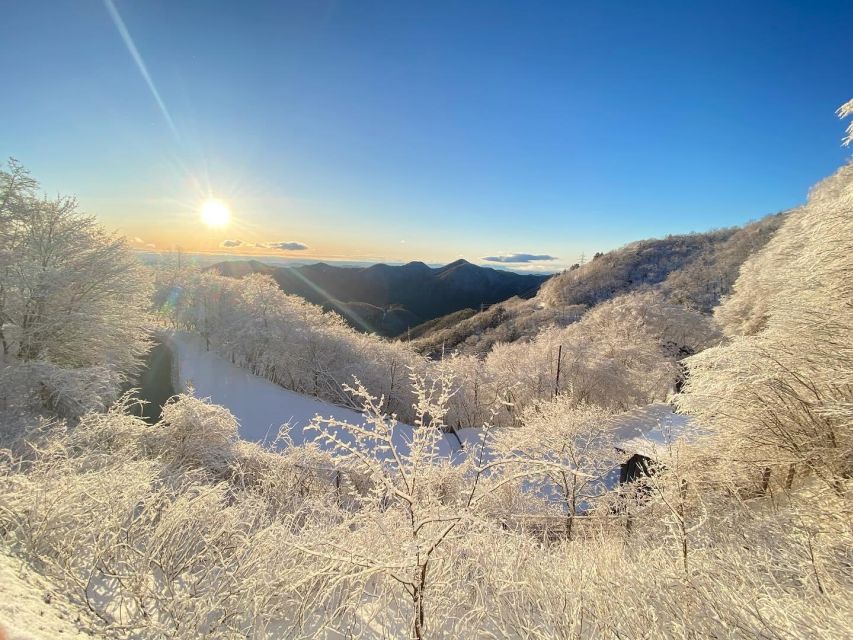 Kanto 10-Hour Chartered Day Trip | Nikko - Optional English-Speaking Driver