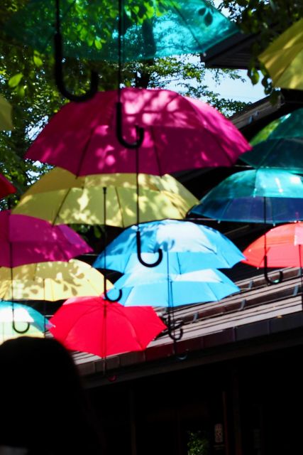 Kanto 10-Hour Chartered Day Trip|Karuizawa - Frequently Asked Questions