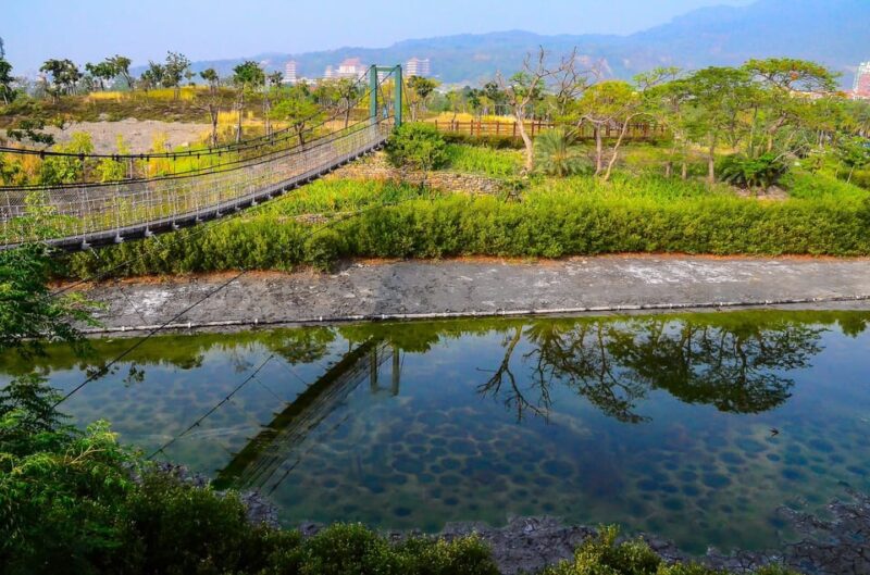 Kaohsiung Like a Local: Customized Guided Tour - Local Guide and Personalization