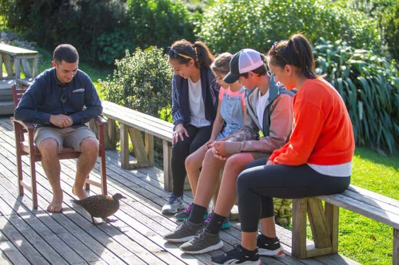 Kapiti Island: Classic Guided Day Tour - Key Points